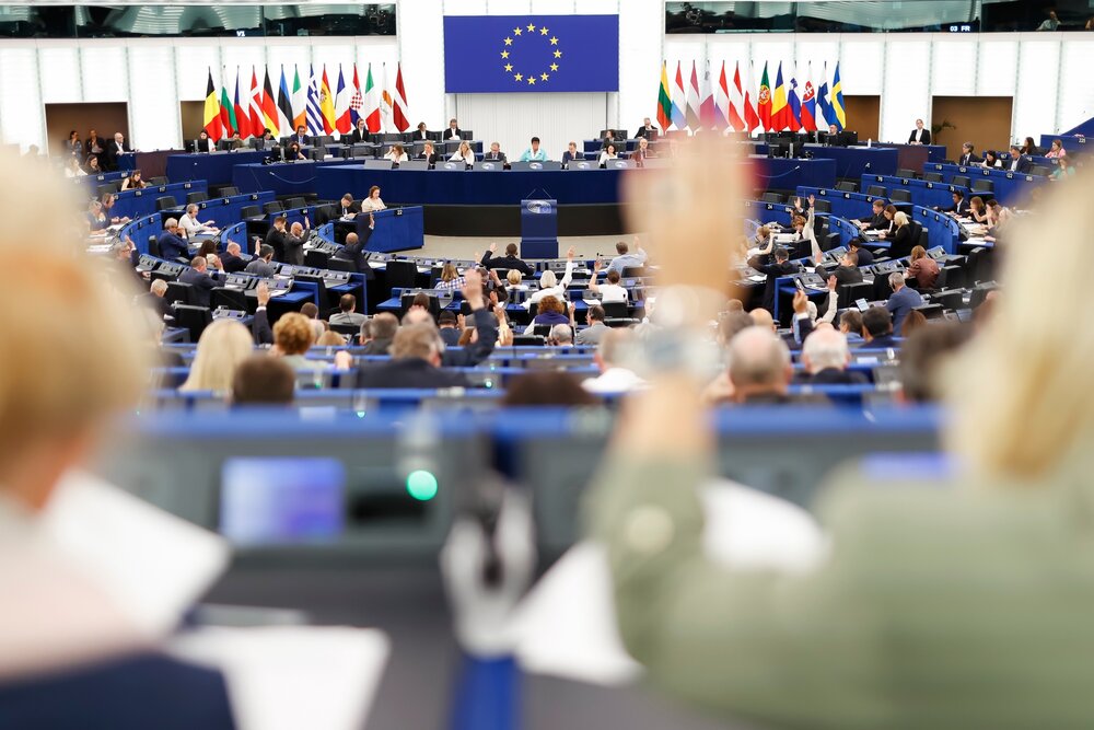 EP Plenary Session - Voting session