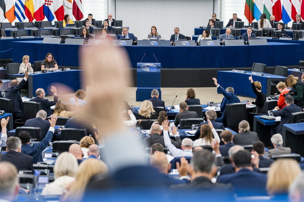 General view of the European Parliament Plenary during a voting session